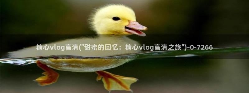 糖心小巨是谁：糖心vlog高清(\