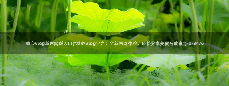 糖心vlgo陈思思：糖心vlog新官网版入口(\