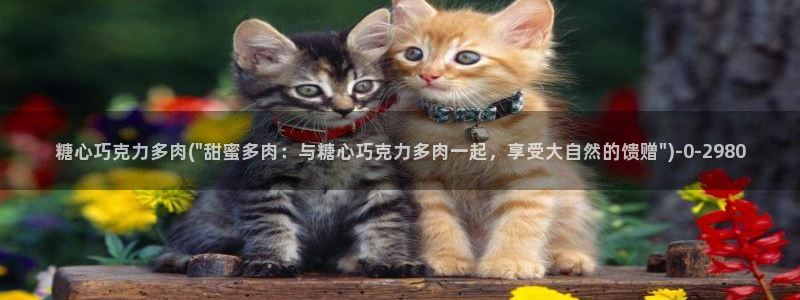 糖心Vlgo兑换码