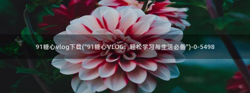 ,糖心：91糖心vlog下载(\