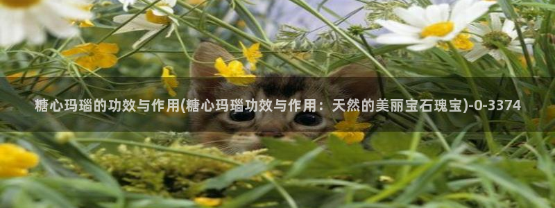 糖心vilg